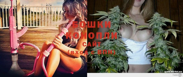 apvp Аркадак