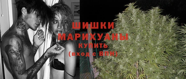 apvp Аркадак